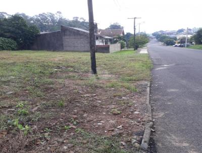 Terreno para Venda, em Santa Cruz do Sul, bairro Aliança